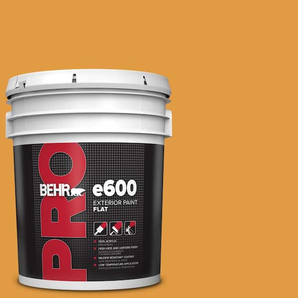 BEHR PRO 5 gal. #T18-05 Life Is Good Flat Exterior Paint