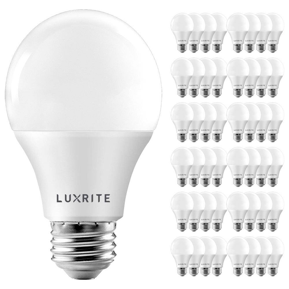 LUXRITE 60-Watt Equivalent A19 Dimmable LED Light Bulb Enclosed Fixture Rated 5000K Daylight White (48-Pack) -  LR21423-48PK