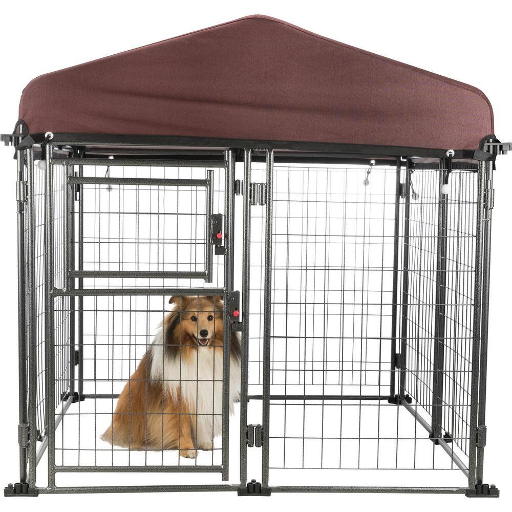 enclosed dog box