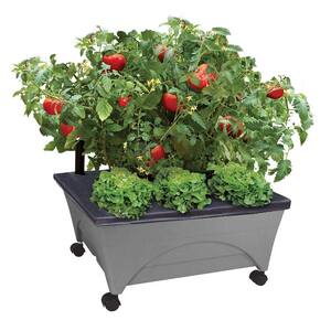 24.5 in. x 20.5 in. Charcoal Gray Plastic Patio Raised Garden Bed Kit with Watering System and Casters