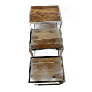 Shelly 16 in Stainless Steel Glass End Side Table