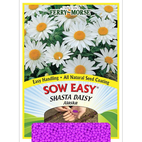 Ferry-Morse Sow Easy Shasta Daisy Alaska Flower Seed
