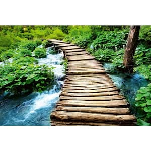 Photographic Boardwalk Landscapes Wall Mural