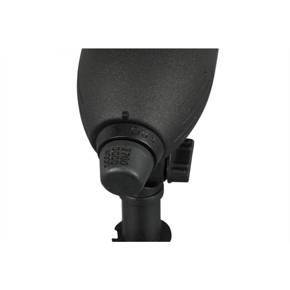 200 Lumens Black Aluminum LED Outdoor Spotlight with Clear Lens
