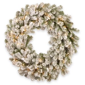 24 in. Snowy Sheffield Spruce LED Artificial Christmas Wreath with Twinkly Lights