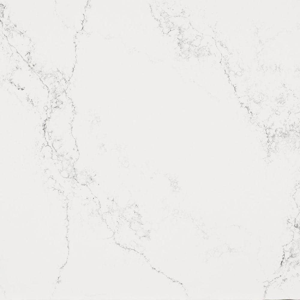 Caesarstone 10 In X 5 In Quartz Countertop Sample In Empira White   Empira White Caesarstone Quartz Countertops 5151 64 1000 