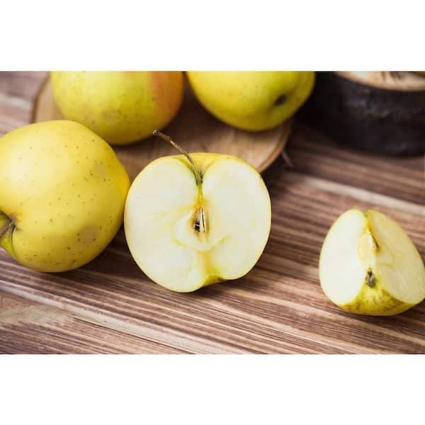 Get Organic Fuji Apple 3pc/pk Delivered