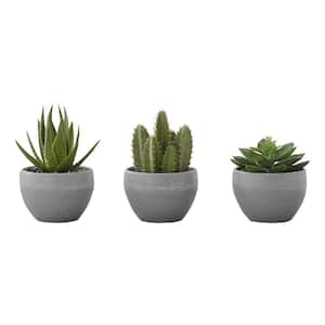 6 in. Green Indoor Succulent Artificial Plant in Grey Ceramic Pots (Set of 3)