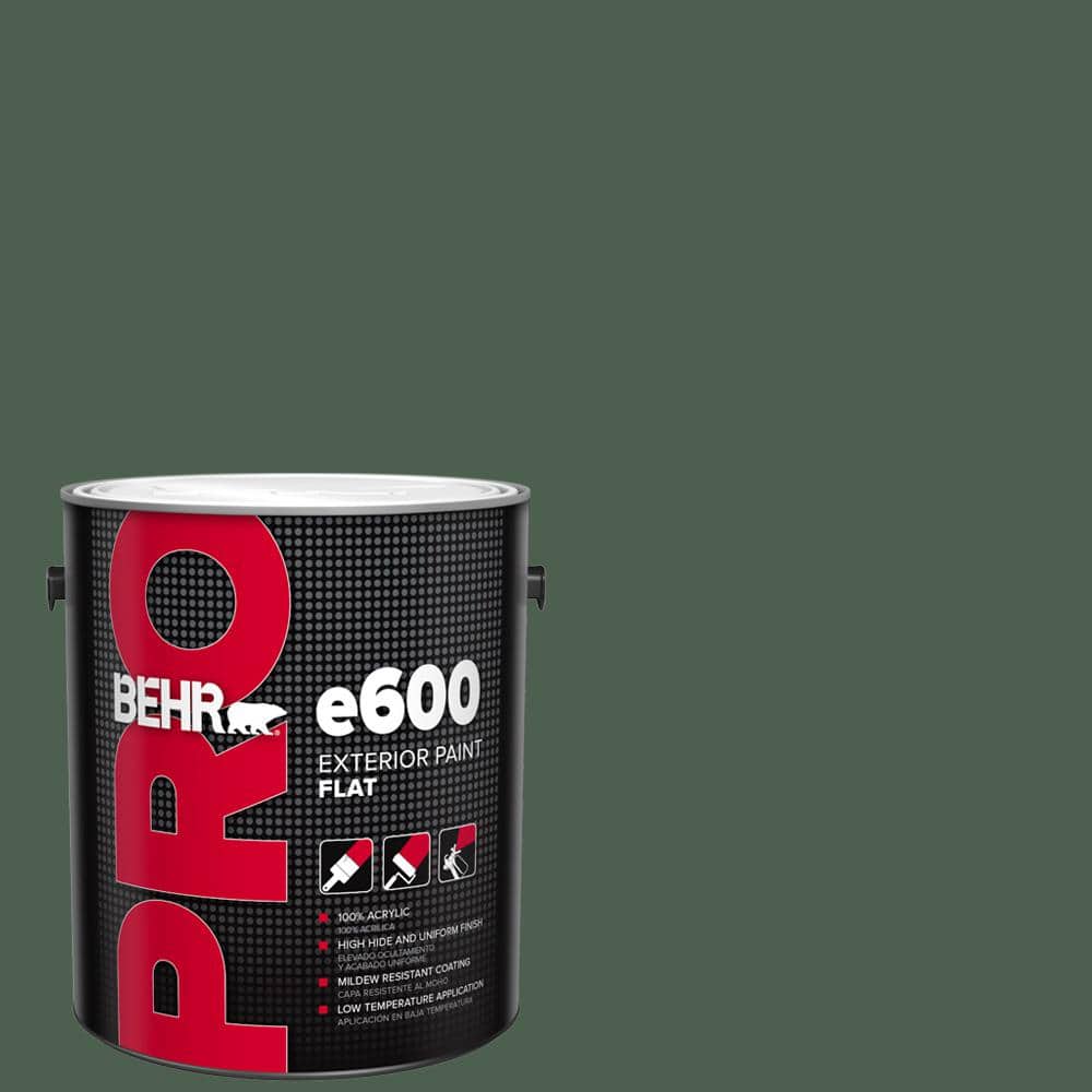 1 gal. #N400-7 Vine Leaf Flat Exterior Paint price history on PriceWatchPro