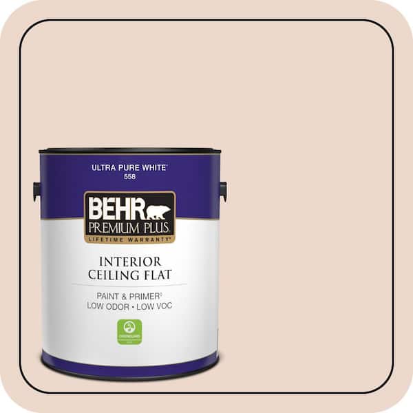 1 gal. #S210-1 Nutmeg Frost Ceiling Flat Interior Paint & Primer