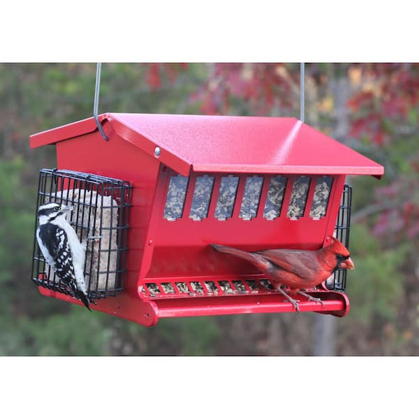 House Design Bird Feeder Seeds Metal Red Hopper Simple Style Secure Chic Durable 