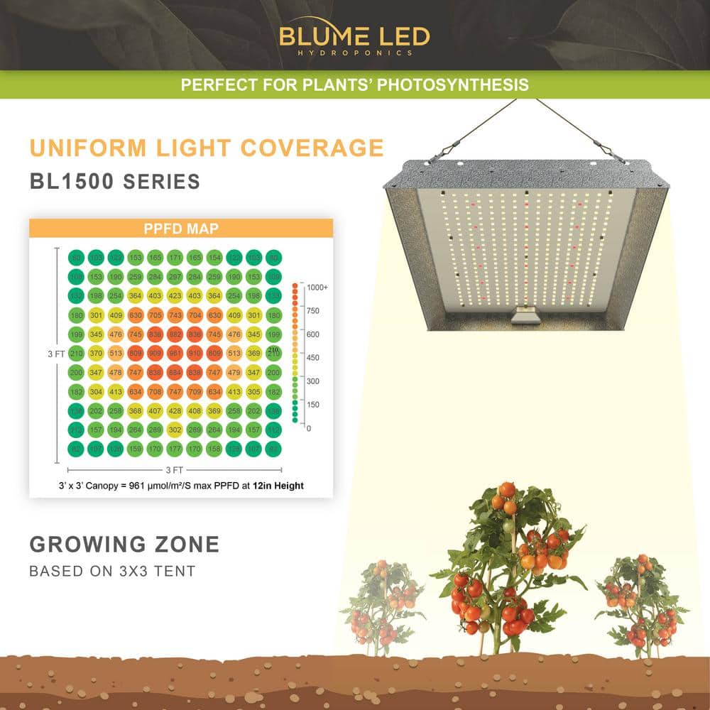 Blume 150-Watt Full Spectrum LED Grow Light with Daisy Chain