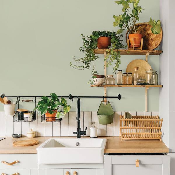 ★Individual paint★ Amazon.com: TOUCHUP KING Automotive Paint Single Stage Quart