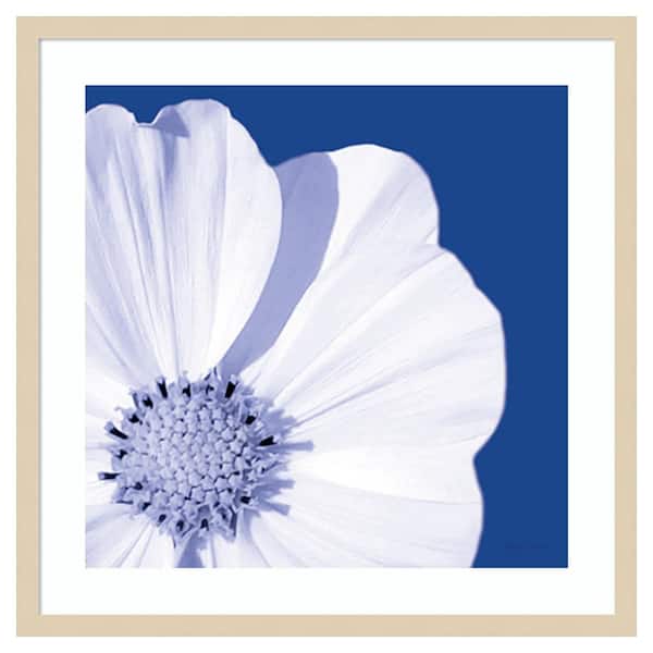 Amanti Art Flower Pop blue III by Marie Elaine Cusson 25 in. W x 25 in. H. Wood Framed Wall Art Print Framed in Brown