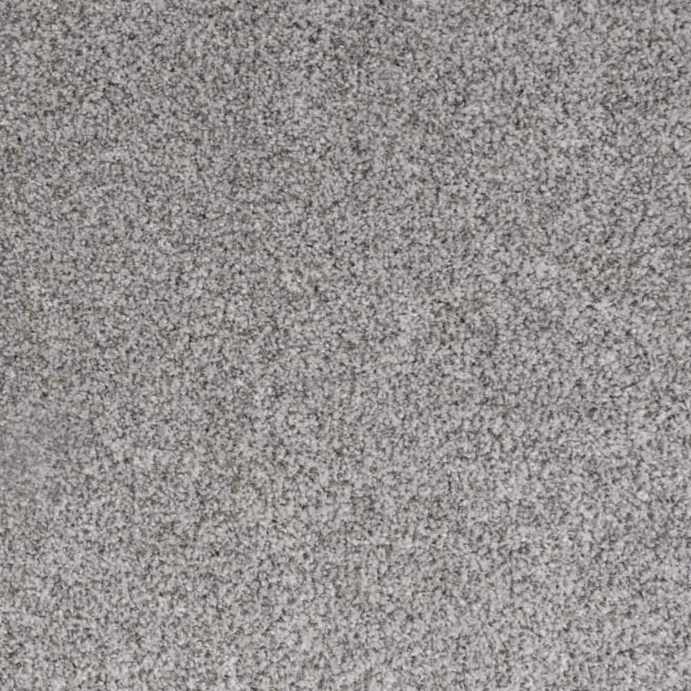 8 in. x 8 in. Texture Carpet Sample-Lurelin-Color Dynasty price history on PriceWatchPro