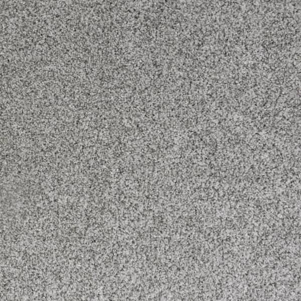 Lifeproof with Petproof Technology 8 in. x 8 in. Texture Carpet Sample-Lurelin-Color Dynasty