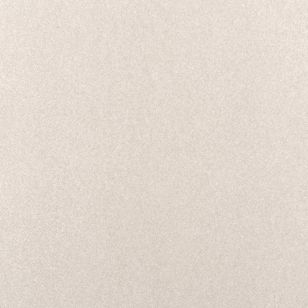 8 in. x 8 in. Texture Carpet Sample - Waking Up I - Color Pillow Case price history on PriceWatchPro