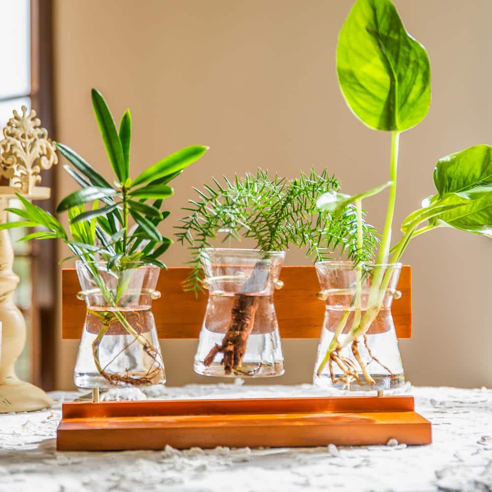  Plant Terrarium Wooden Stand - Table Top Glass Flower Pot Bulb  Vase with Vintage Solid Wood Holder and Metal Swivel Holder for Hydroponic  Plant Home Garden Office Wedding Decorations (3 Bottles) 
