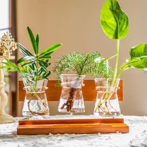 10.4 in. x 3.6 in. x 5.2 in. Plant Terrarium with Wooden Stand Plant Rooting Container Home Office Decoration Gift
