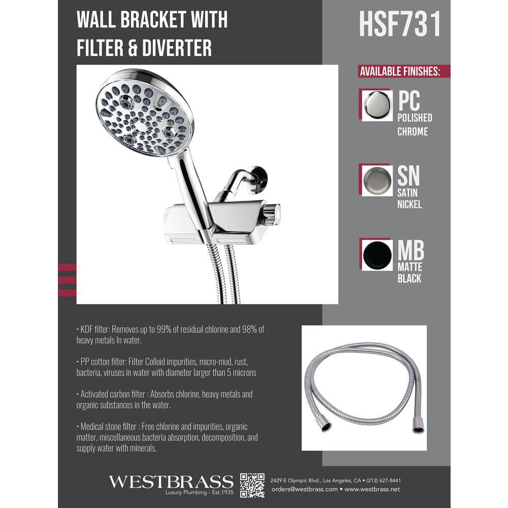 Matte Black Multi-Function Handheld Shower Head with Filter and Wall Mount