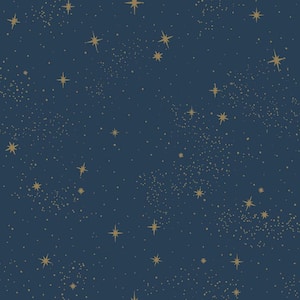 Upon A Star Navy Vinyl Peel & Stick Wallpaper Roll (Covers 28.18 Sq. Ft.)