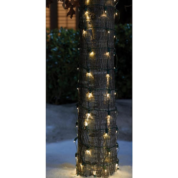 Home Accents Holiday 2 ft. x 10 ft. 144 Light Dome LED Warm White