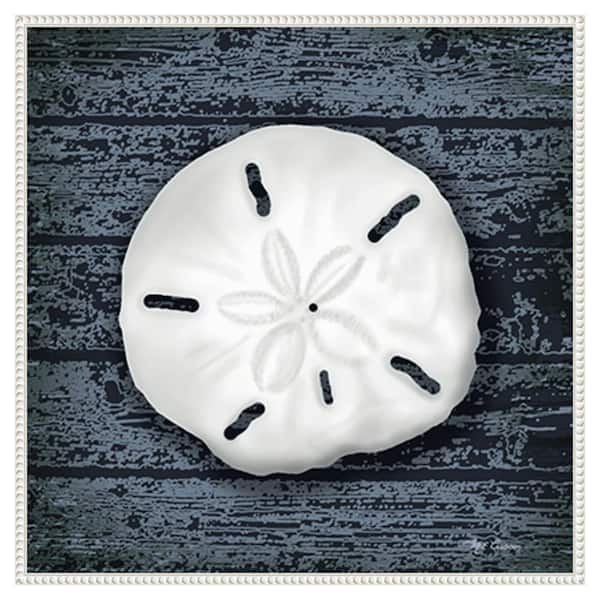 Amanti Art Seashore Shells Navy II by Marie Elaine Cusson 30 in. W x 30 in. H Canvas Wall Art Print Framed in White