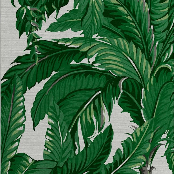 Graham & Brown Daintree Palm Pearl Wallpaper