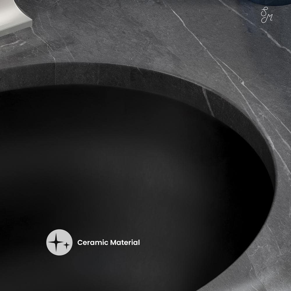 Plaisir 16.5" Matte Black Ceramic Undermount Bathroom Sink