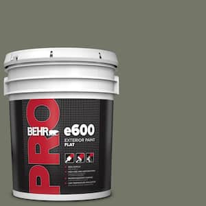 5 gal. #PPU10-19 Conifer Green Flat Exterior Paint