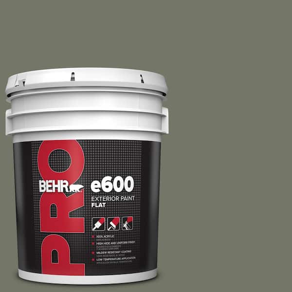 5 gal. #PPU10-19 Conifer Green Flat Exterior Paint