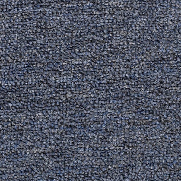 TrafficMaster Main Rail Base  - Danube - Blue 12 oz. Polyester Loop Installed Carpet