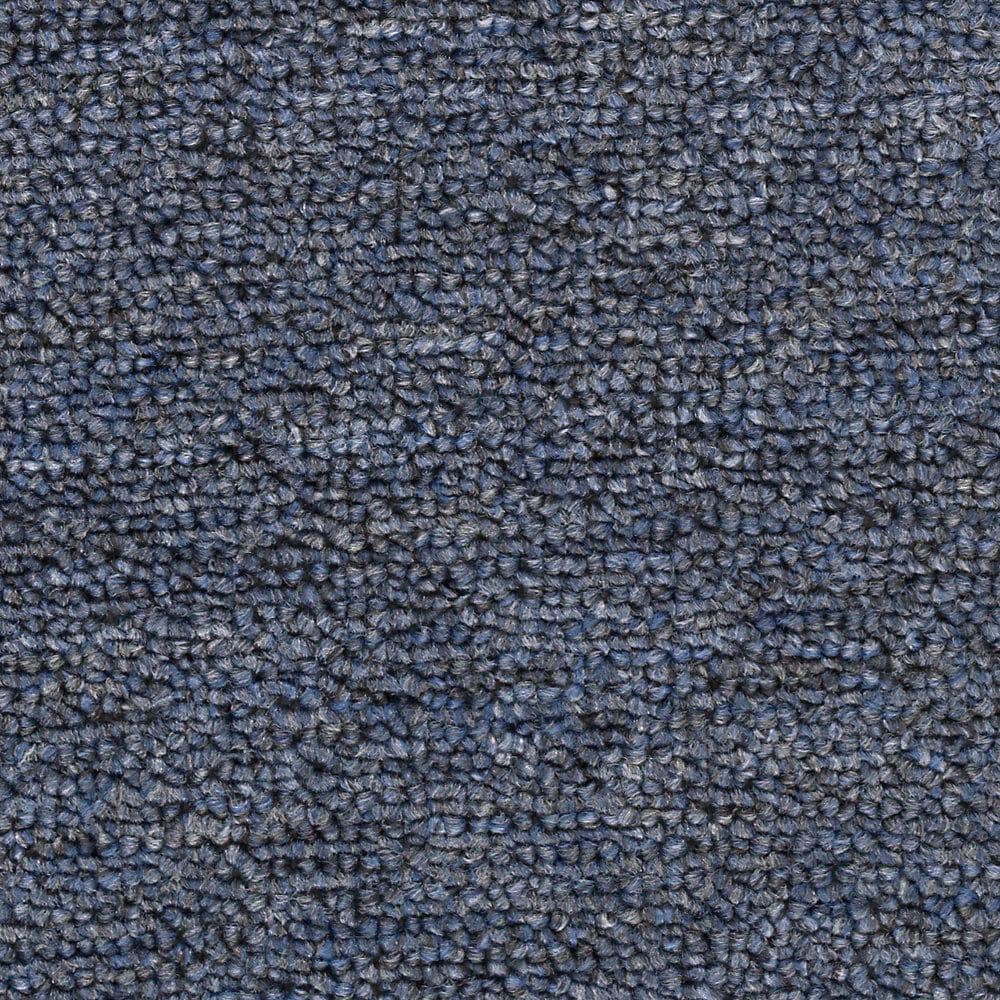 8 in. x 8 in. Loop Carpet Sample - Main Rail 20 -Color Danube price history on PriceWatchPro
