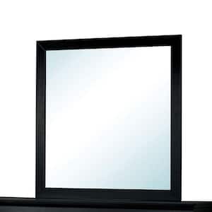 Louis Philippe III 38.25 in. x 38.13 in. Modern Rectangle Framed Black Decorative Mirror