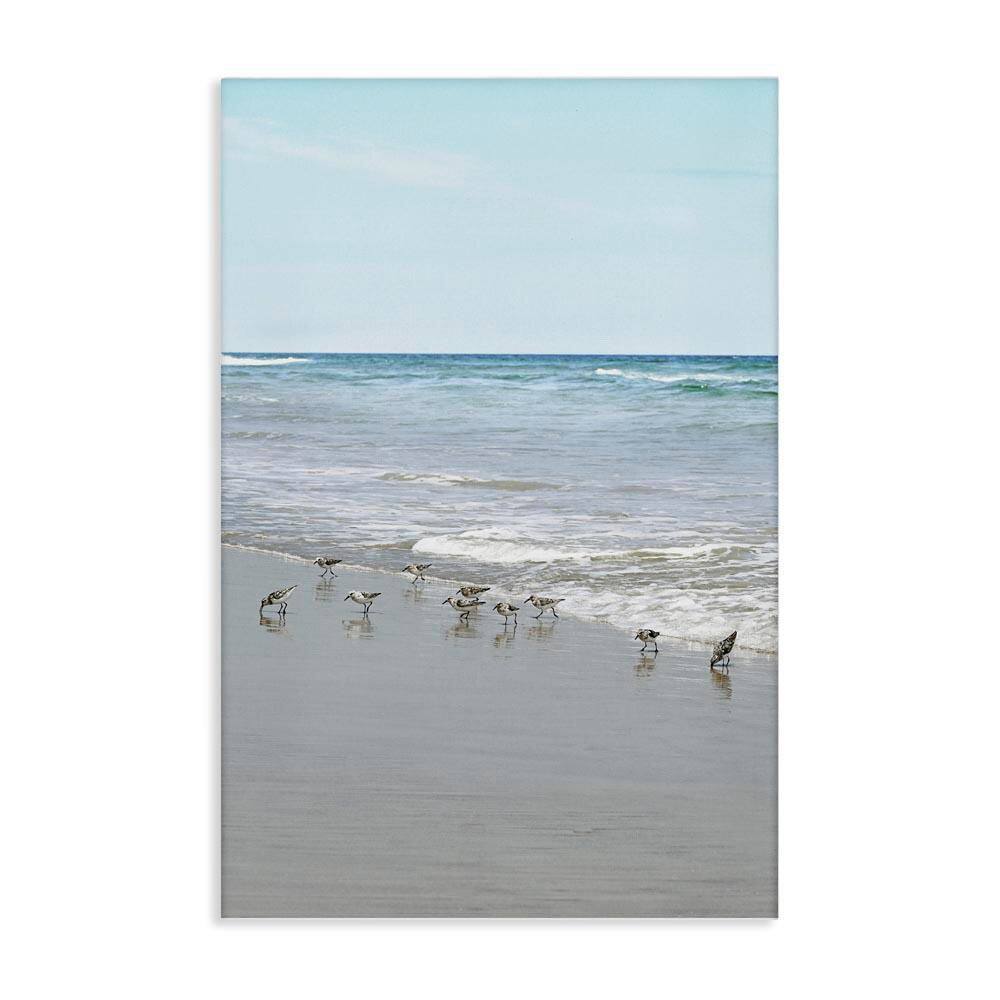 Energetic Beach Birds by Natalie Carpentieri Unframed Coastal Graphic Art Print 24 in. x 16 in. price history on PriceWatchPro