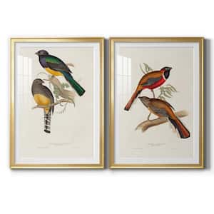 Elegant Trogons V By Wexford Homes 2-Pieces Framed Abstract Paper Art Print 22.5 in. x 30.5 in.