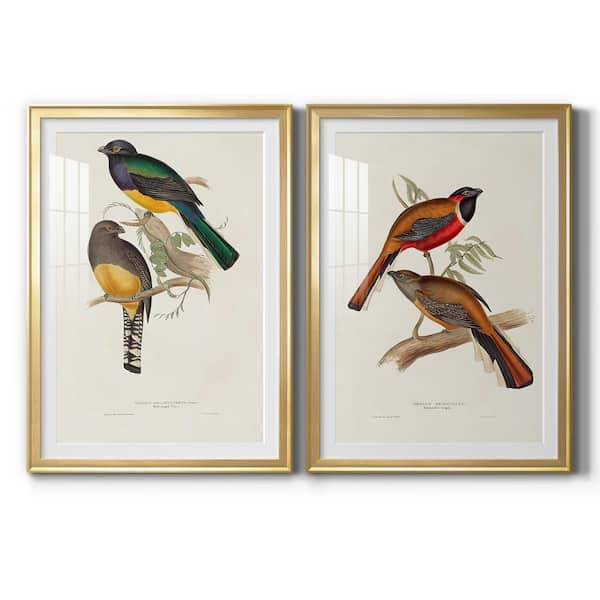 Wexford Home Elegant Trogons V By Wexford Homes 2-Pieces Framed Abstract Paper Art Print 22.5 in. x 30.5 in.