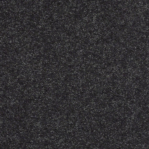 Brave Soul II - Darkest Navy - Blue 15 ft. 44 oz. Polyester Texture Carpet - Installation Required