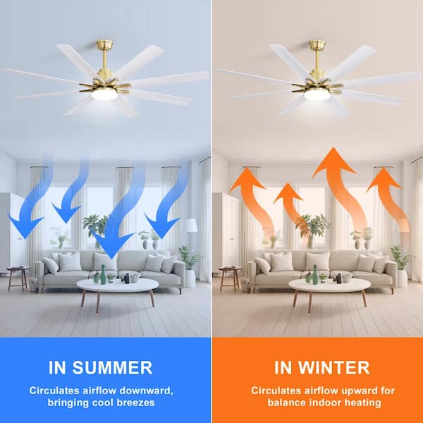 Sofucor 66 in. LED Indoor/Outdoor Gold Smart Ceiling Fan with