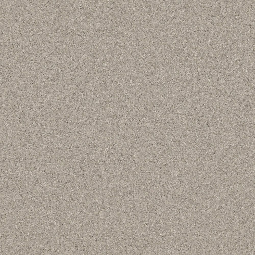 8 in. x 8 in. Texture Carpet Sample - Vignette Velvet II - Color Homestead price history on PriceWatchPro