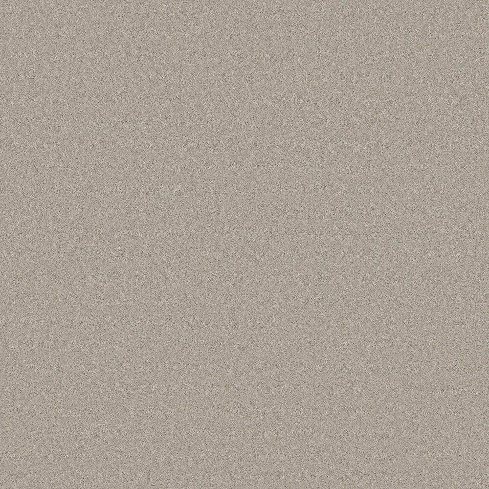 8 in. x 8 in. Texture Carpet Sample - Vignette Velvet I - Color Homestead price history on PriceWatchPro