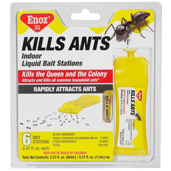 Enoz Kills Ants Liquid Ant Bait Stations (6Pack) R13.6T The Home Depot