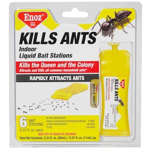 TERRO Indoor Liquid Ant Killer Baits (6-Count) T300 - The Home Depot