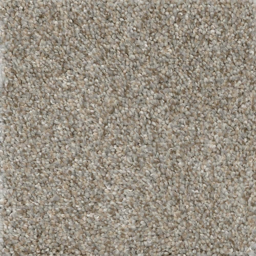 8 in. x  8 in. Texture Carpet Sample - Nimble Creek -Color Jumper price history on PriceWatchPro