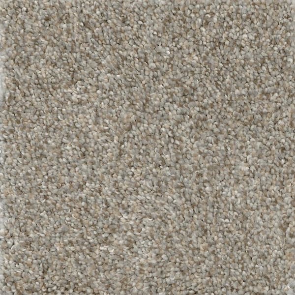 TrafficMaster 8 in. x  8 in. Texture Carpet Sample - Nimble Creek -Color Jumper