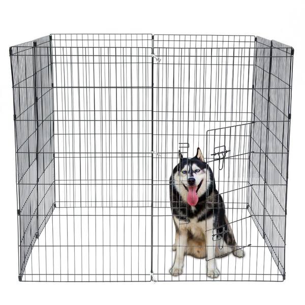 exercise fence for dogs