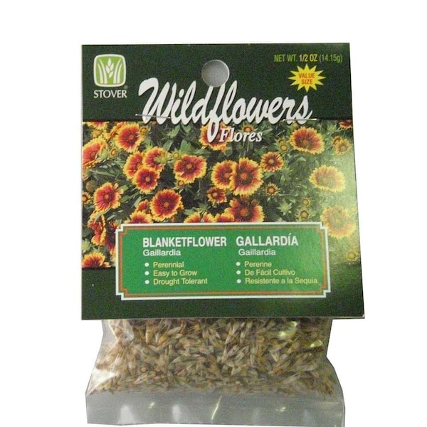 Stover Blanket flower (Gaillardia)