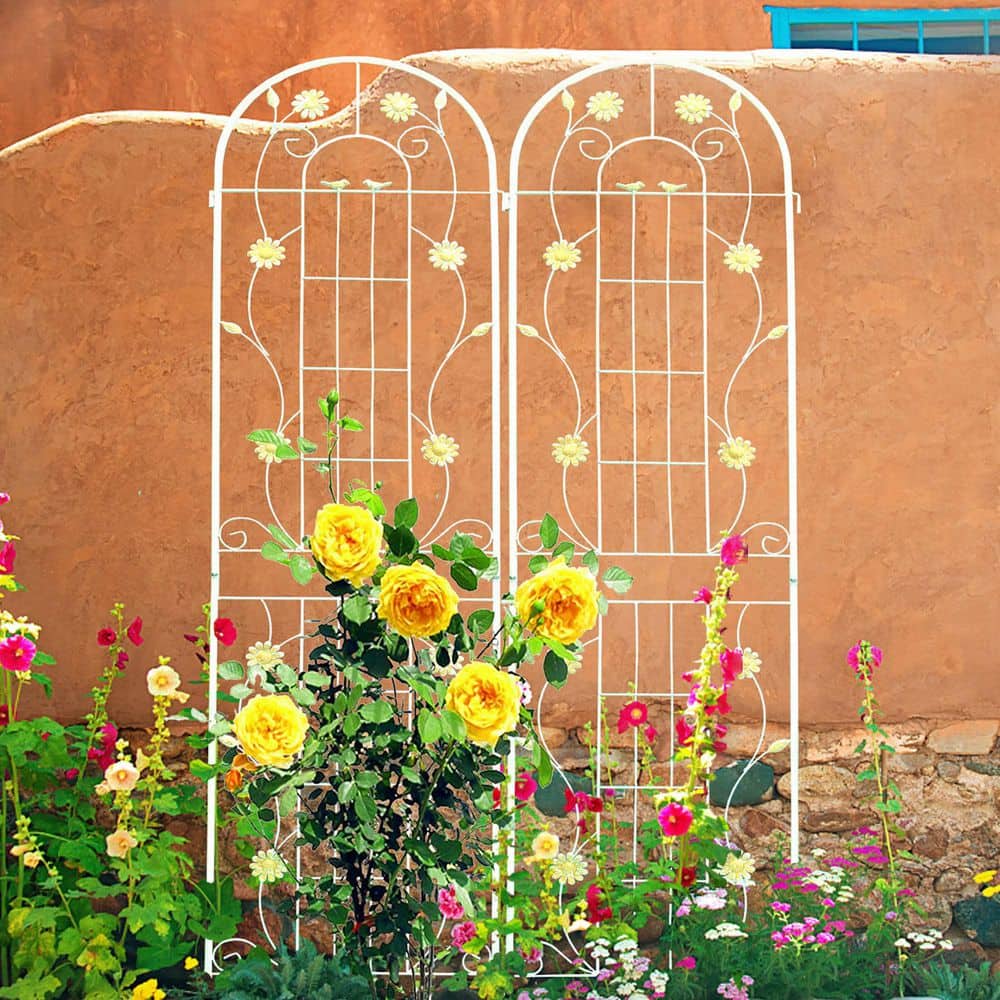 86.7 in. Cream White Metal Garden Trellis for Climbing Plants Rustproof Outdoor Flower Support (2-Pack) price history on PriceWatchPro
