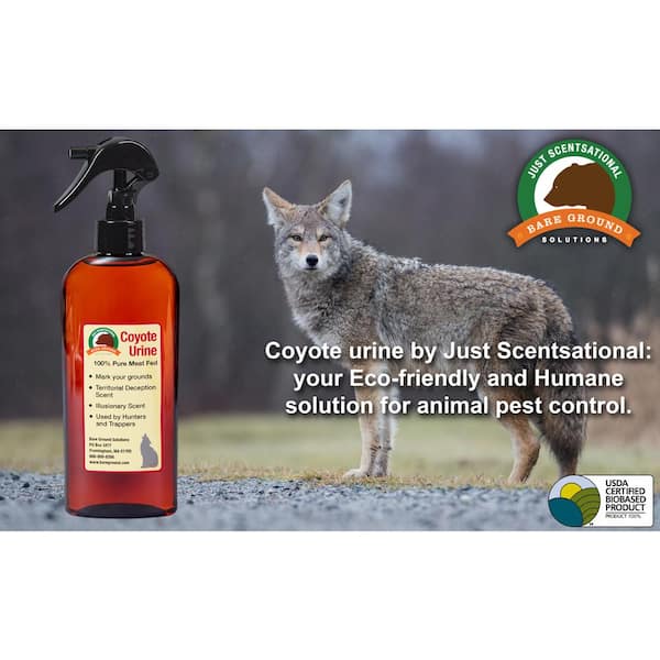 8 oz. Coyote Urine with Applicator