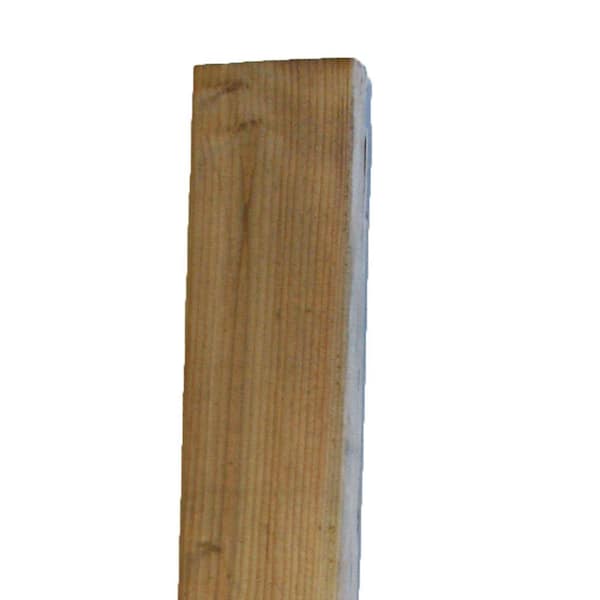 Unbranded 2 in. x 4 in. x 12 ft. Standard Better Hi-Bor Pressure-Treated Lumber